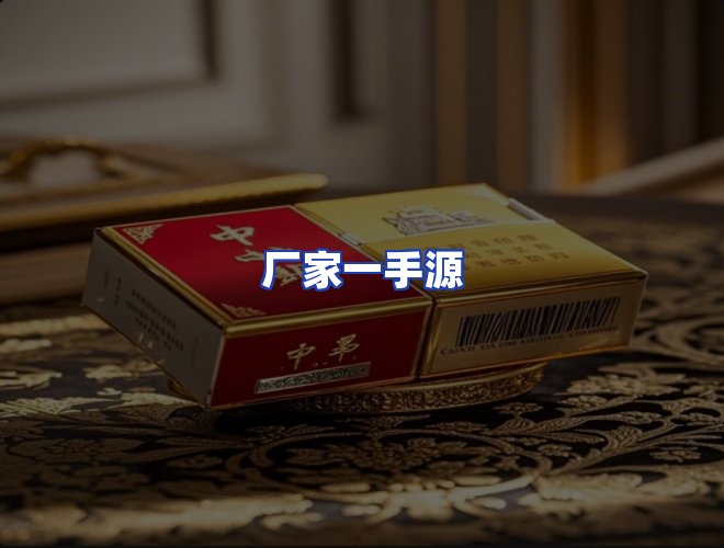 专业团队